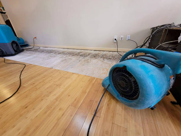 Professional Sewage Cleanup technician working in Kintnersville, PA